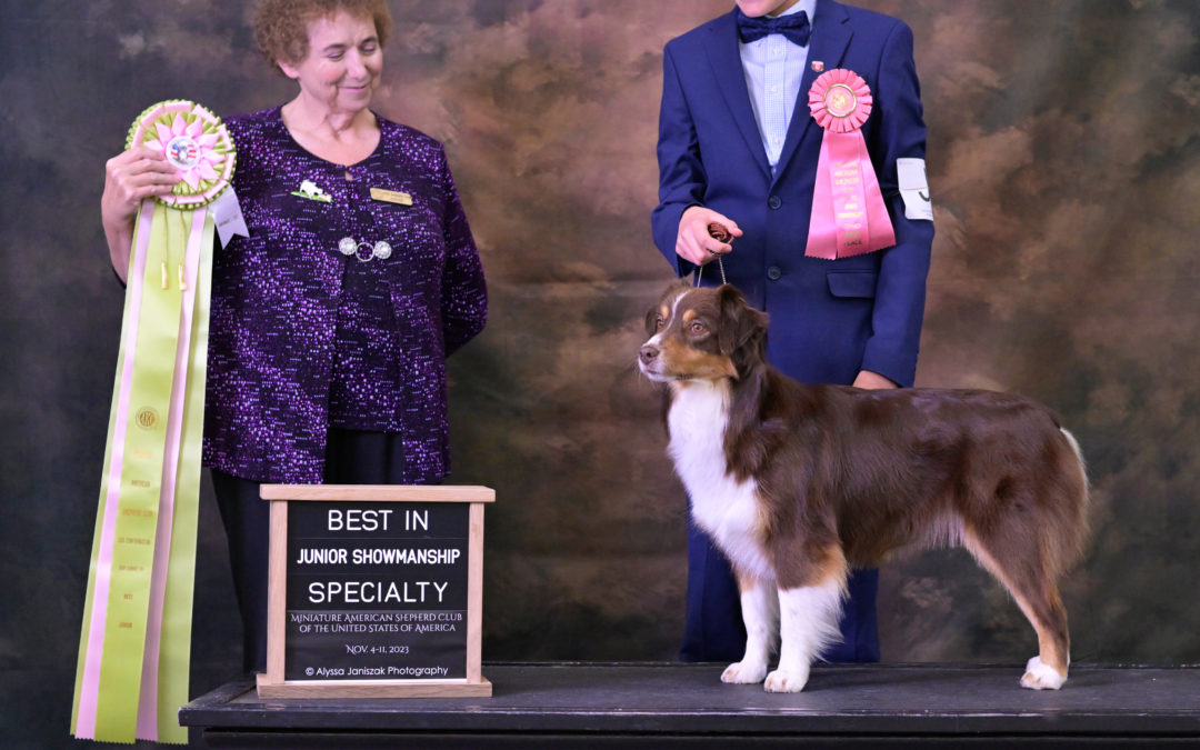 More Than Ribbons: What Kids can Learn as Junior Handlers