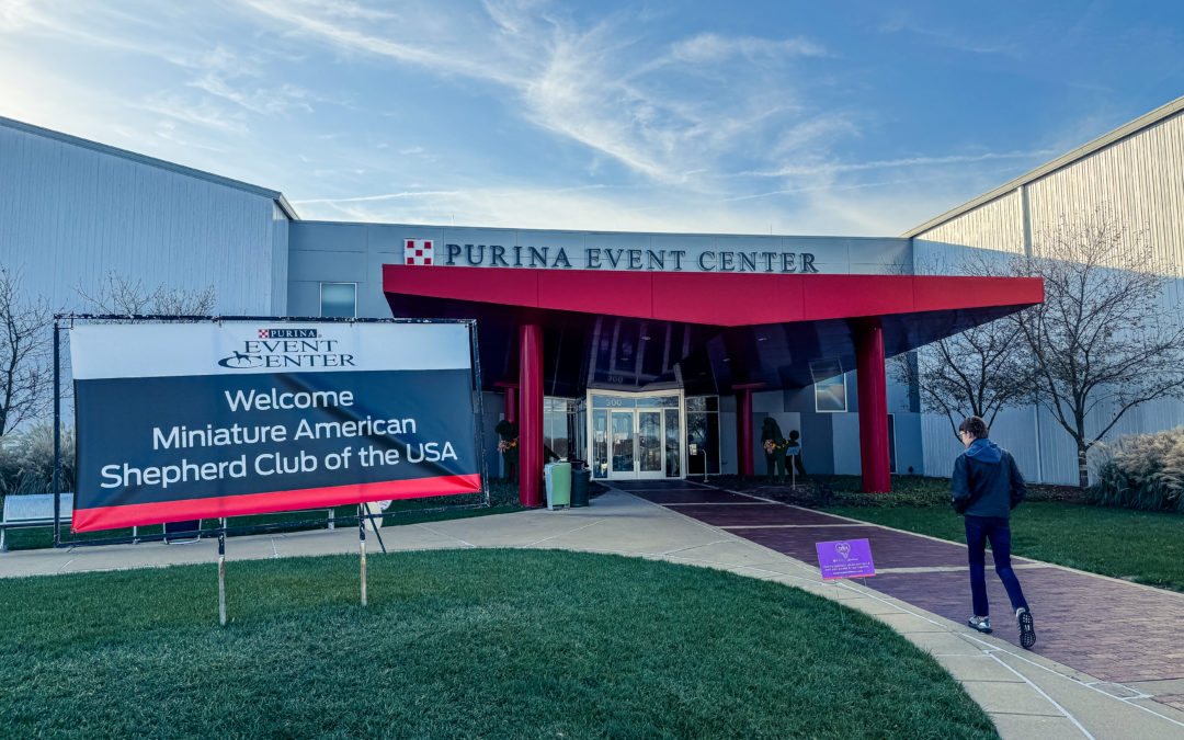 The Hidden World Behind Your Dog’s Breed: What Every Dog Owner Should Know About Breed Clubs