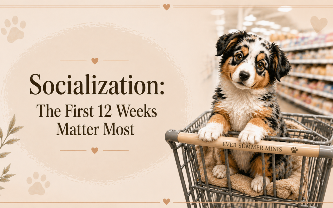 SOCIALIZATION: The First 12 Weeks Matter Most
