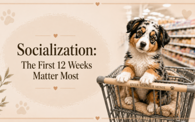 SOCIALIZATION: The First 12 Weeks Matter Most