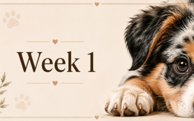 Week 1 at home