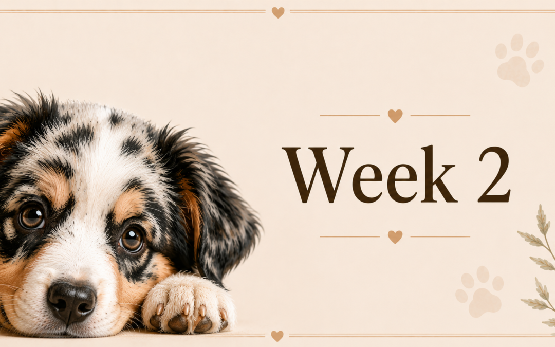 Week 2 at home