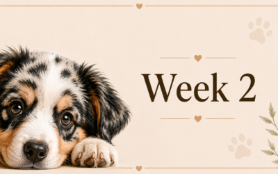 Week 2 at home
