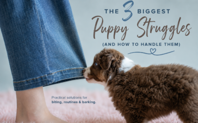 The 3 Biggest Puppy Struggles (and how to Handle them)