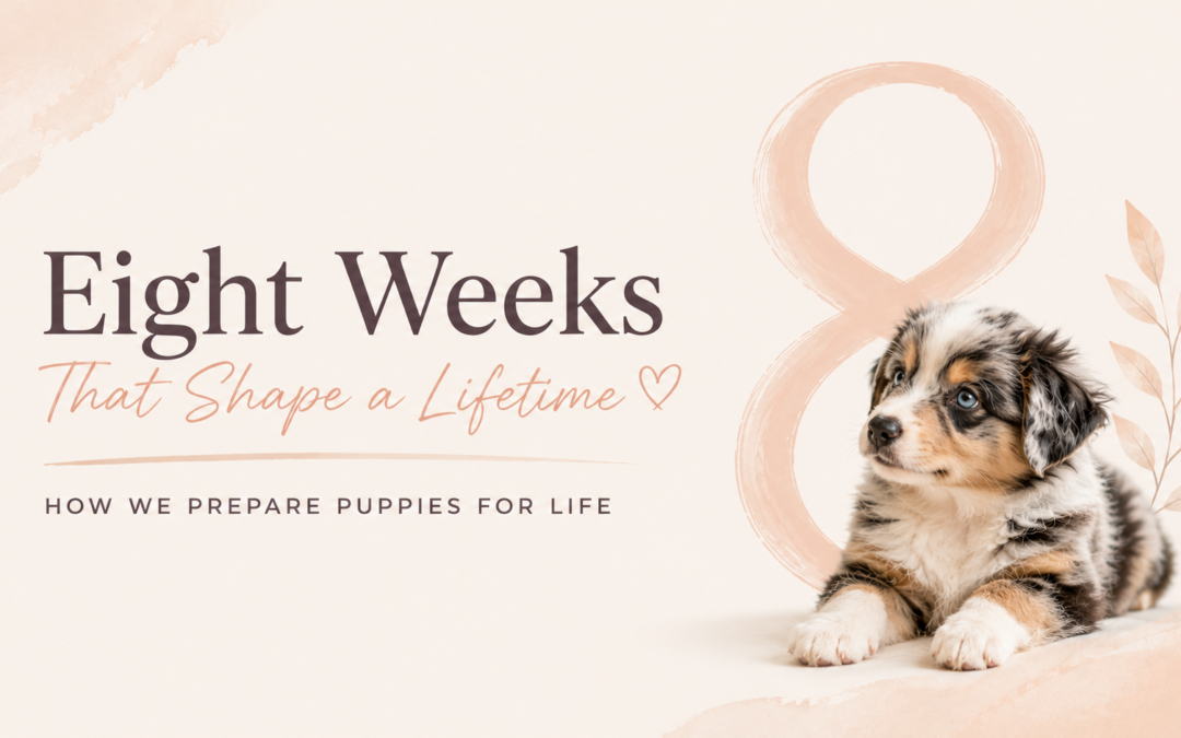 Eight Weeks That Shape a Lifetime